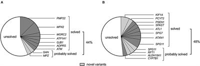 The mutational profile in a South African cohort with inherited neuropathies and spastic paraplegia